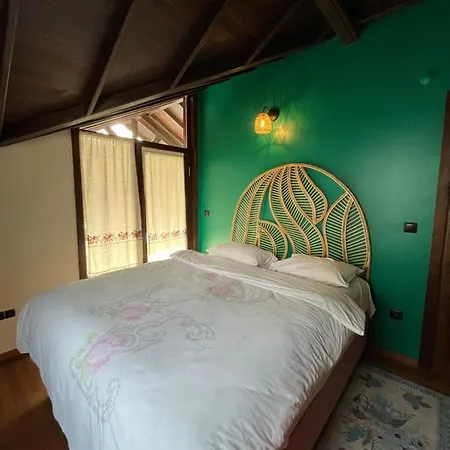 Oezdilek Villa *