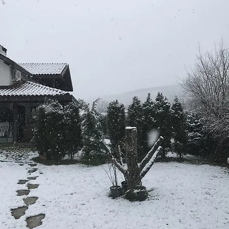 Oezdilek Villa Sapanca