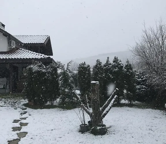 Oezdilek Villa Sapanca